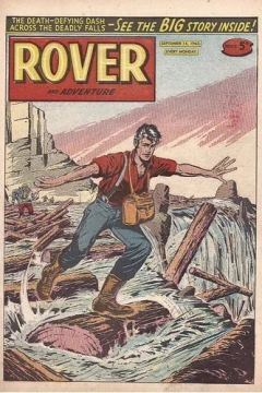 Issue #19630914