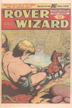 Issue #19640125