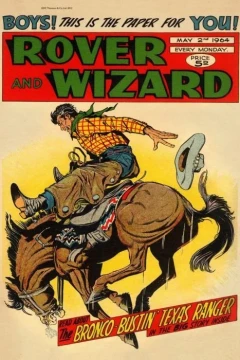 Issue #19640502