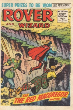 Issue #19660528