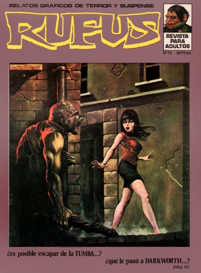 Cover of Issue #12