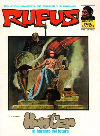 Cover of Issue #13