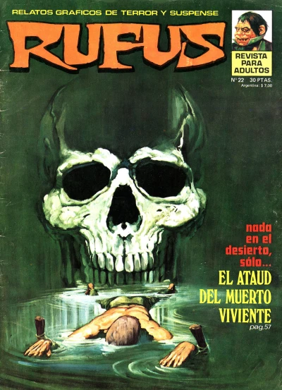 Cover of Issue #22