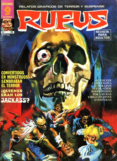 Cover of Issue #23