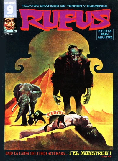 Cover of Issue #24