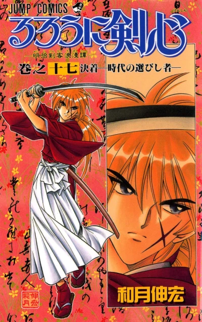 Cover of Vol. 17
