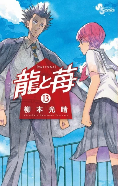 Cover of Volume 13