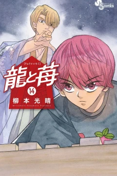 Volume 14