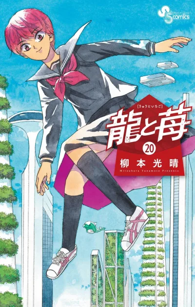 Cover of Volume 20