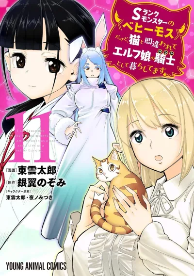 Cover of Volume 11