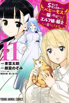 Volume 11