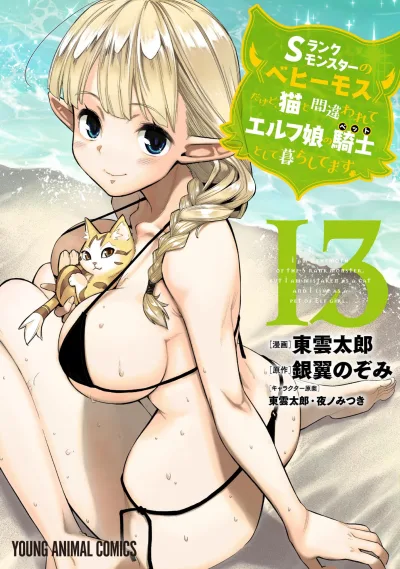 Cover of Volume 13