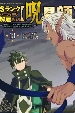 Vol. 13