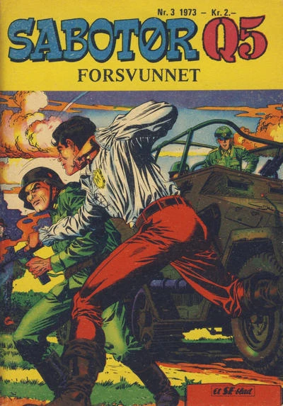 Cover of Forsvunnet