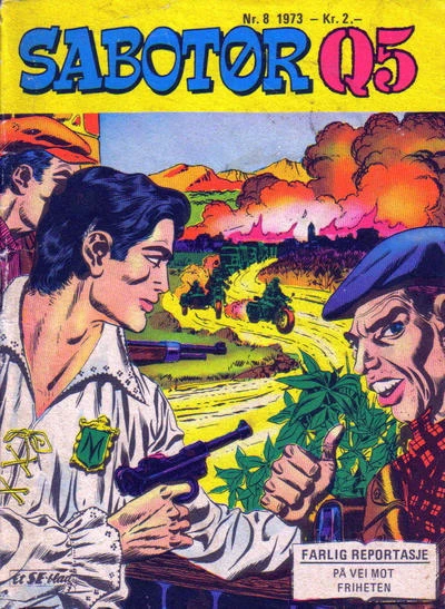 Cover of Issue #197308