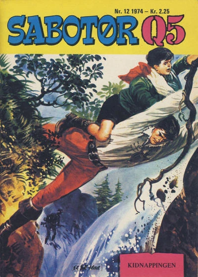 Cover of Kidnappingen
