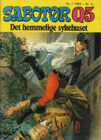 Cover of Det hemmelige sykehuset