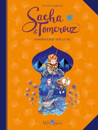 Cover of Cambriolage sur le nil