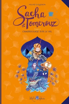 Cambriolage sur le nil