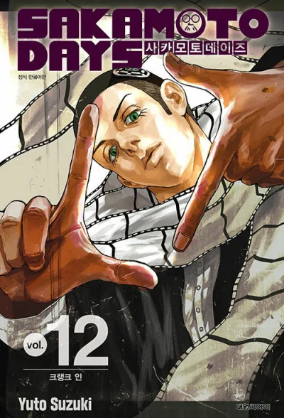 Cover of Issue #12