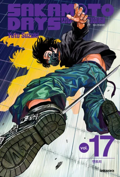 Cover of Issue #17