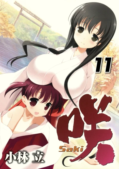 Cover of Vol. 11