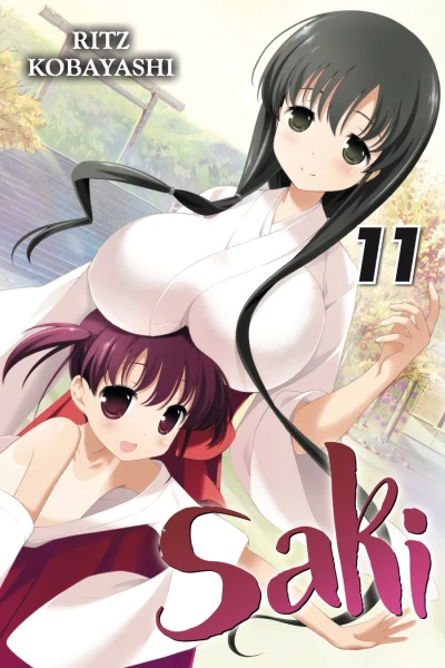 Cover of Vol. 11