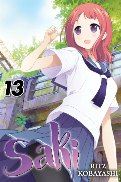 Cover of Vol. 13