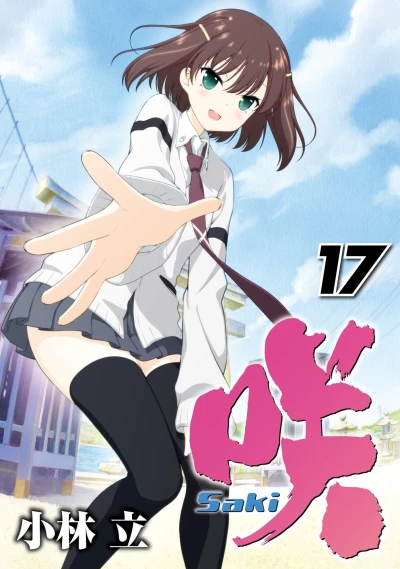 Cover of Vol. 17