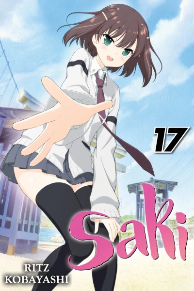 Cover of Vol. 17