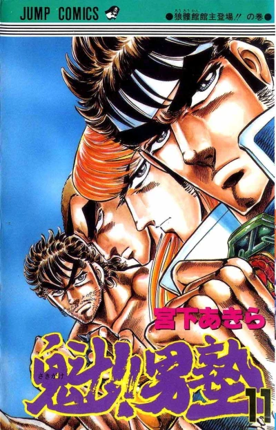 Cover of Vol. 11
