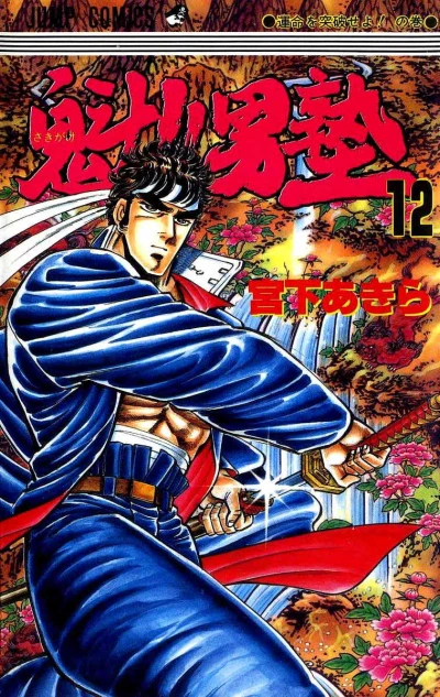 Cover of Vol. 12