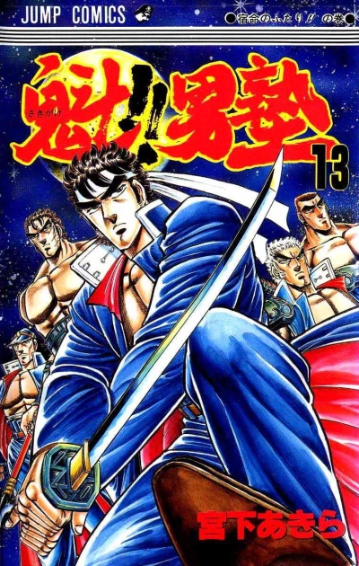 Cover of Vol. 13