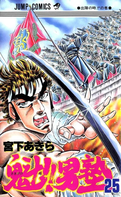 Cover of Vol. 25