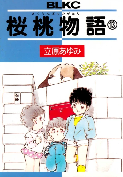 Cover of Vol. 13