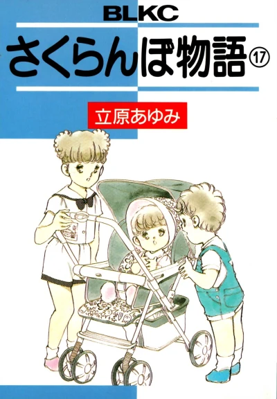 Cover of Vol. 17