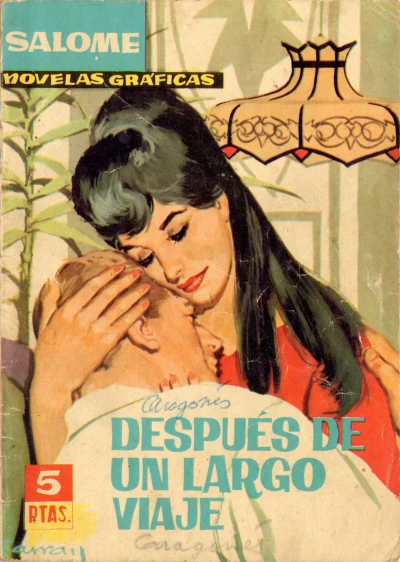 Cover of Después de un largo viaje