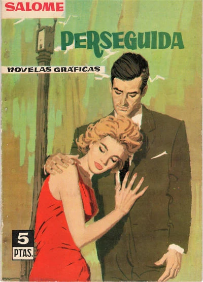 Cover of Perseguida