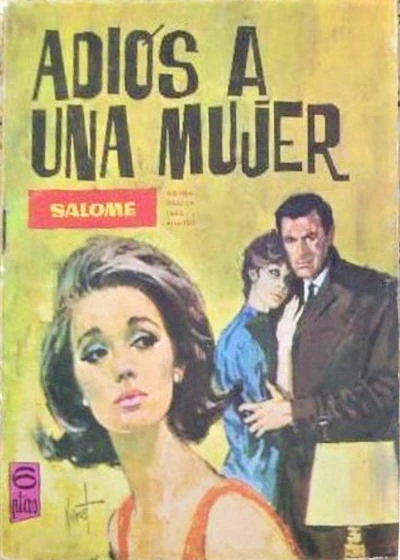 Cover of Adiós a una mujer