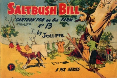 Cover of Issue #13
