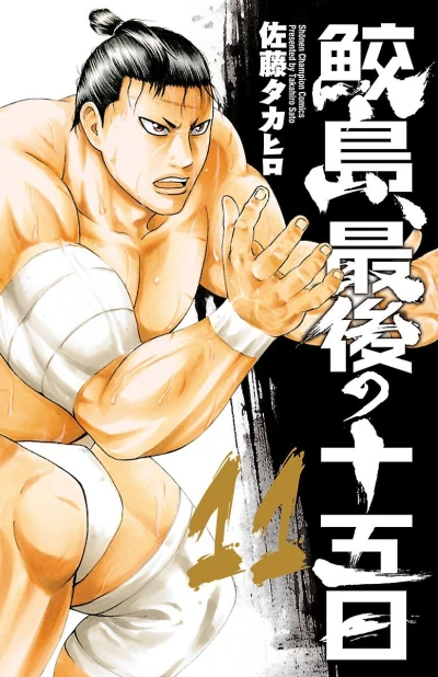 Cover of Vol. 11