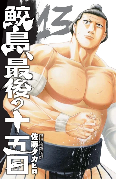 Cover of Vol. 13