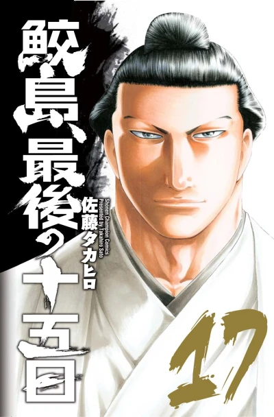 Cover of Vol. 17