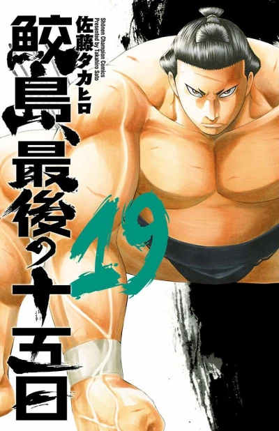 Cover of Vol. 19