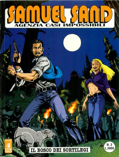 Cover of Il bosco dei sortilegi