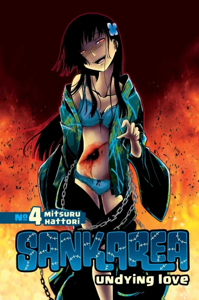 Cover of Vol. 4