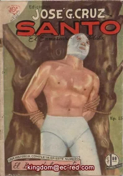 Cover of # 15