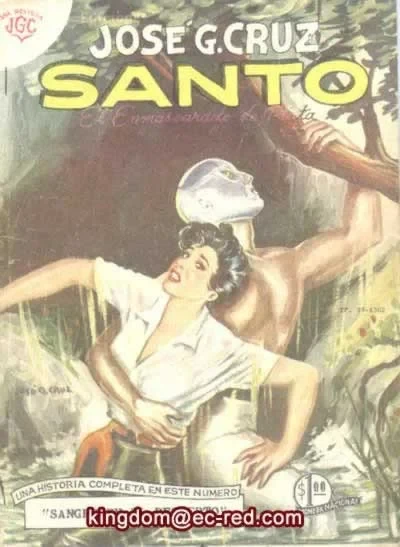 Cover of # 29