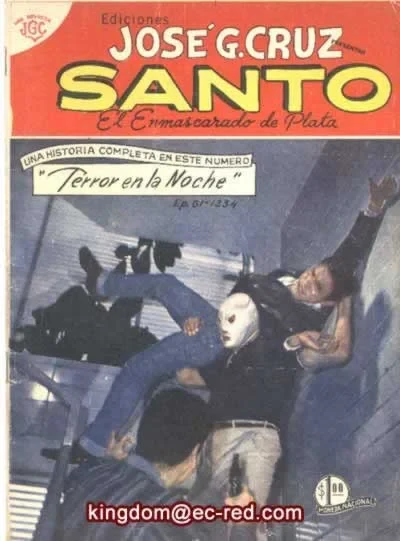 Cover of Terror en la Noche