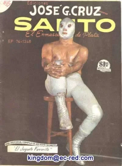 Cover of El Juguete Favorito